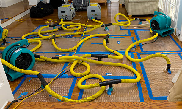 Professional Water Damage Restoration technician working in Tipton, CA